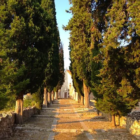 Veli 招待所 *